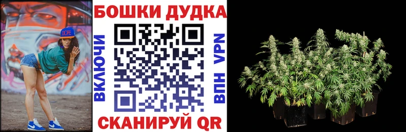 Купить закладки  Купино  Марихуана сатива 